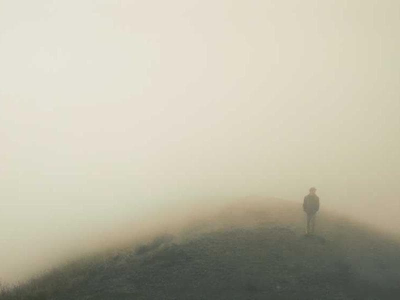 B級にんじん 2kg